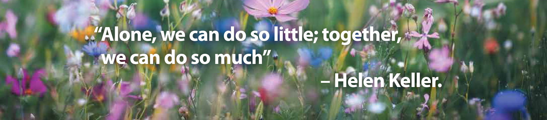 Quote Image